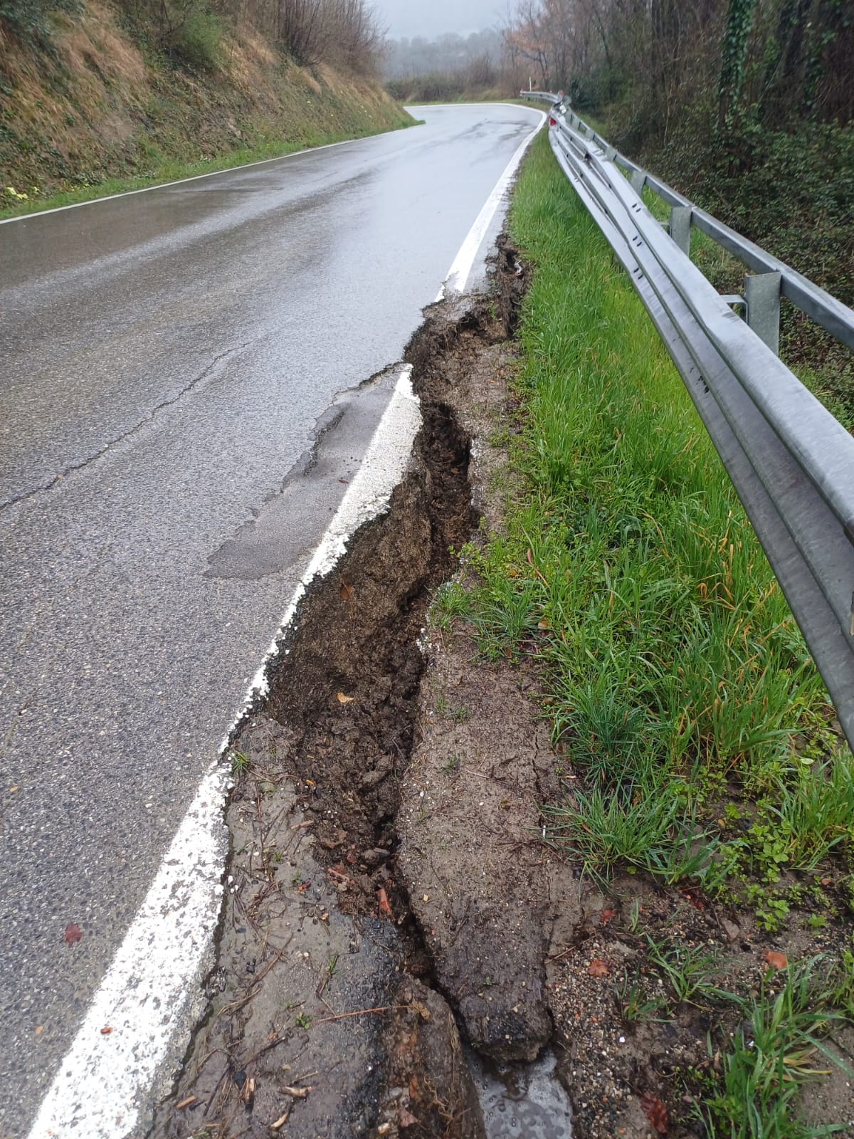 porzione di strada con frattura longitudinale, sp 8 a montecarelli